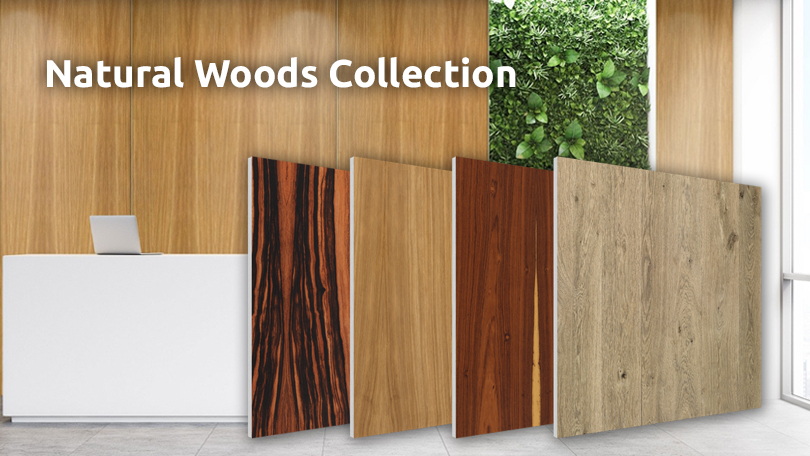 Flat Panel VMT Woods Collection